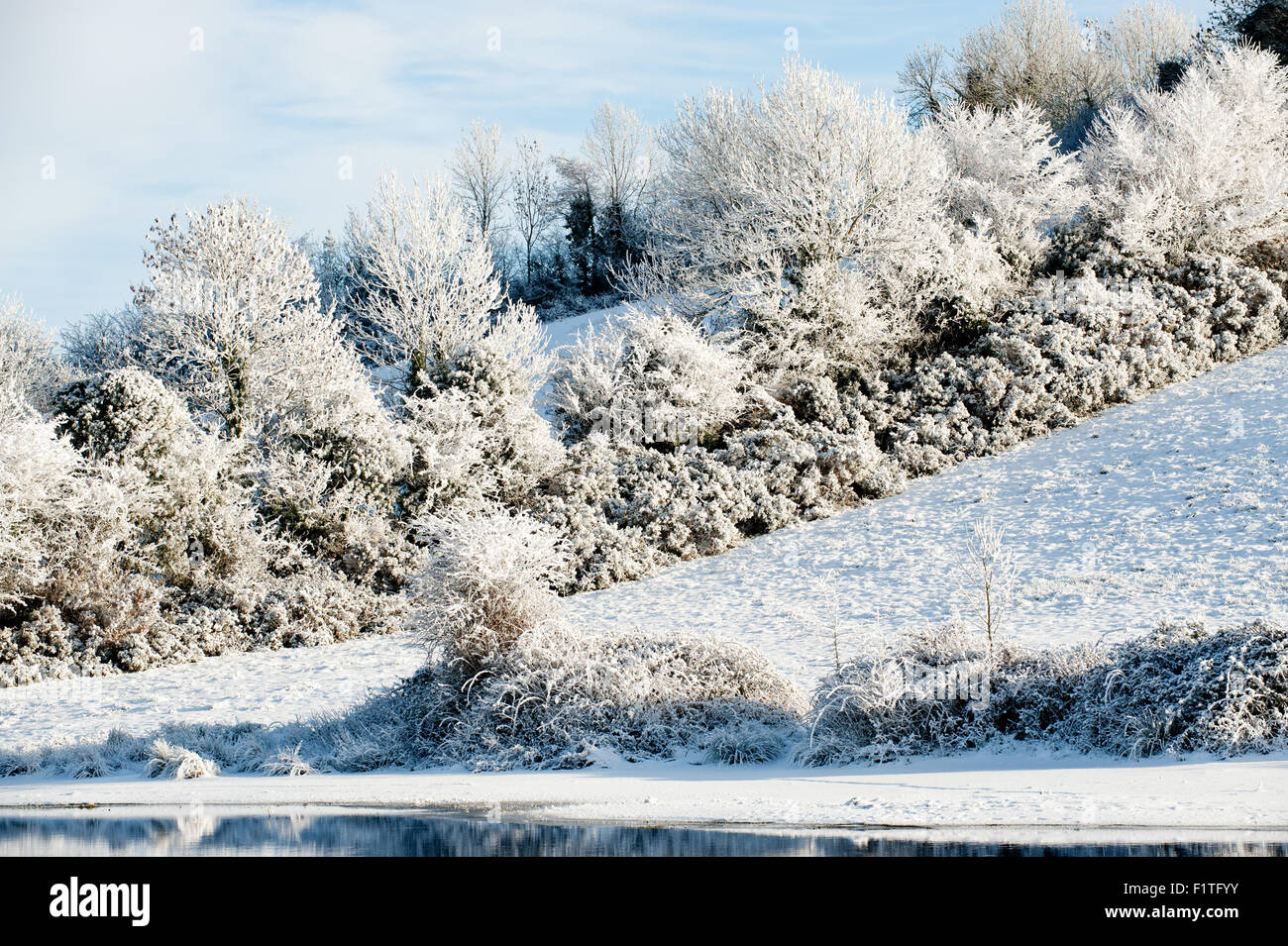 Bella giornata di sole in inverno sul fiume Erne, Co. Cavan , Ireland Foto Stock