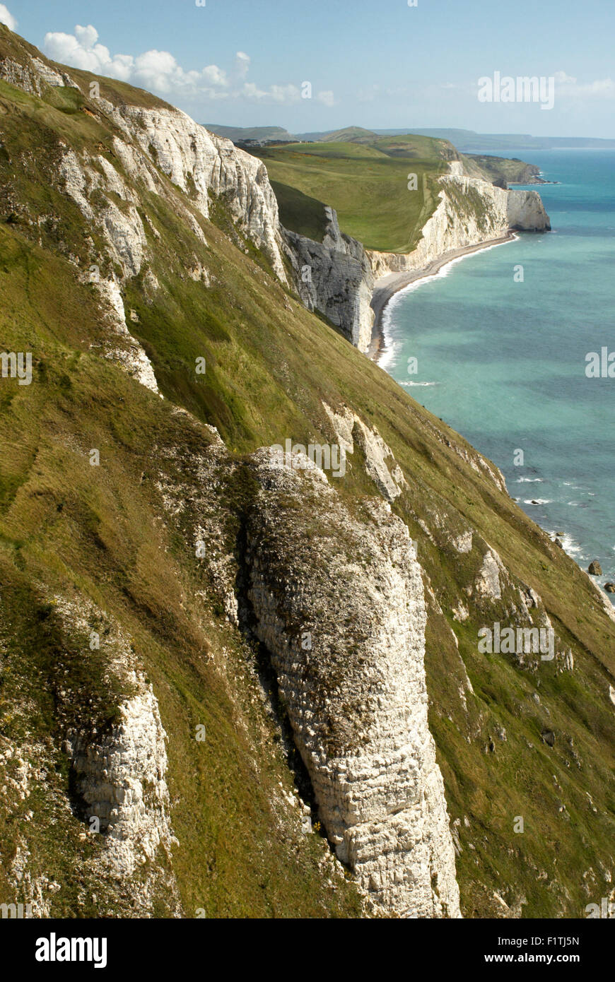 Le scogliere di Nola bianco su Dorset la Jurassic Coast, England, Regno Unito Foto Stock
