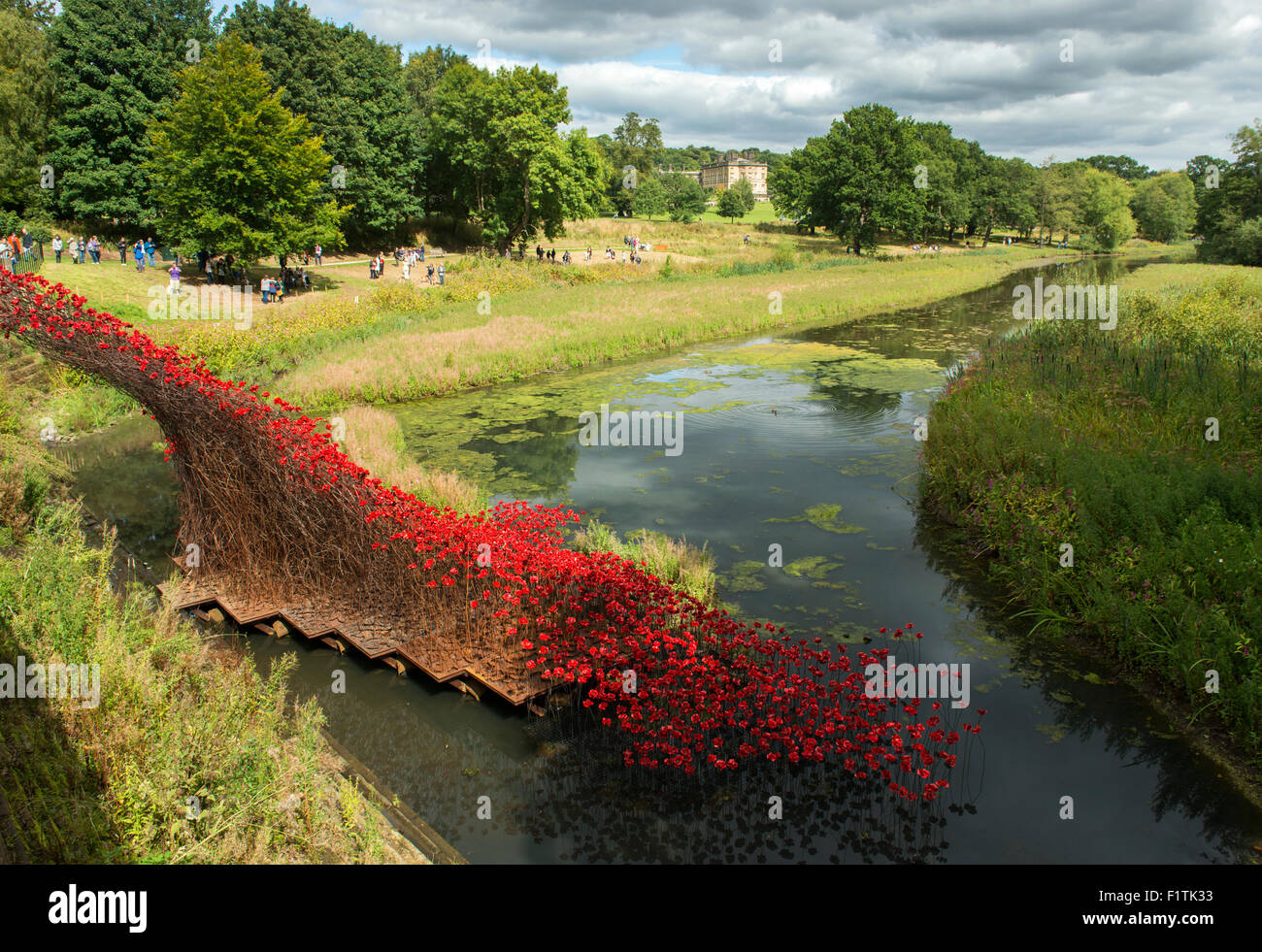 Papaveri in ceramica in mostra presso lo Yorkshire Sculpture Park in West Bretton, Wakefield West Yorkshire England Regno Unito Foto Stock Papaveri in ceramica in mostra presso lo Yorkshire Sculpture Park in West Bretton, Wakefield West Yorkshire England Regno Unito Foto Stock