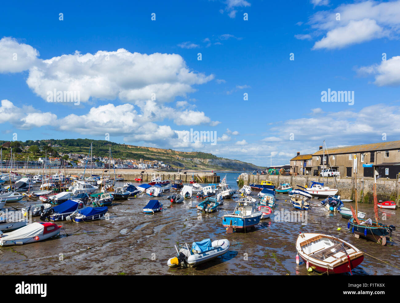 Il Cobb e il porto con la bassa marea, Lyme Regis, Lyme Bay, Jurassic Coast, Dorset, England, Regno Unito Foto Stock