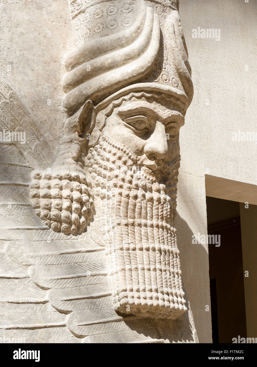 Uomo alato con testa di Bull: Testa e barba dettaglio. Originariamente parte di Sargon II capitale della Dur Sharrukin, ora Khorsabad. Dal Foto Stock
