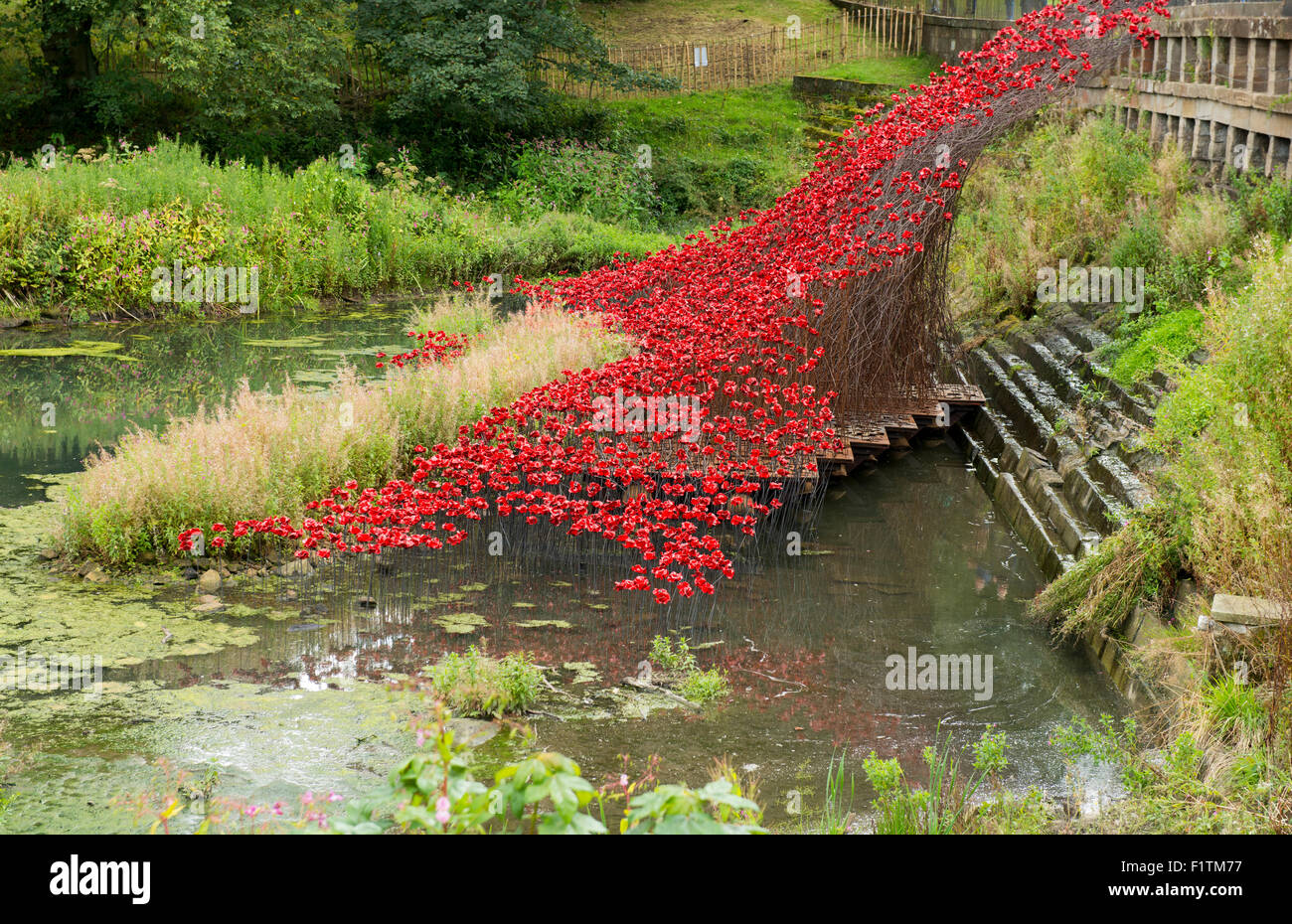 Papaveri in ceramica in mostra presso lo Yorkshire Sculpture Park in West Bretton, Wakefield West Yorkshire England Regno Unito Foto Stock