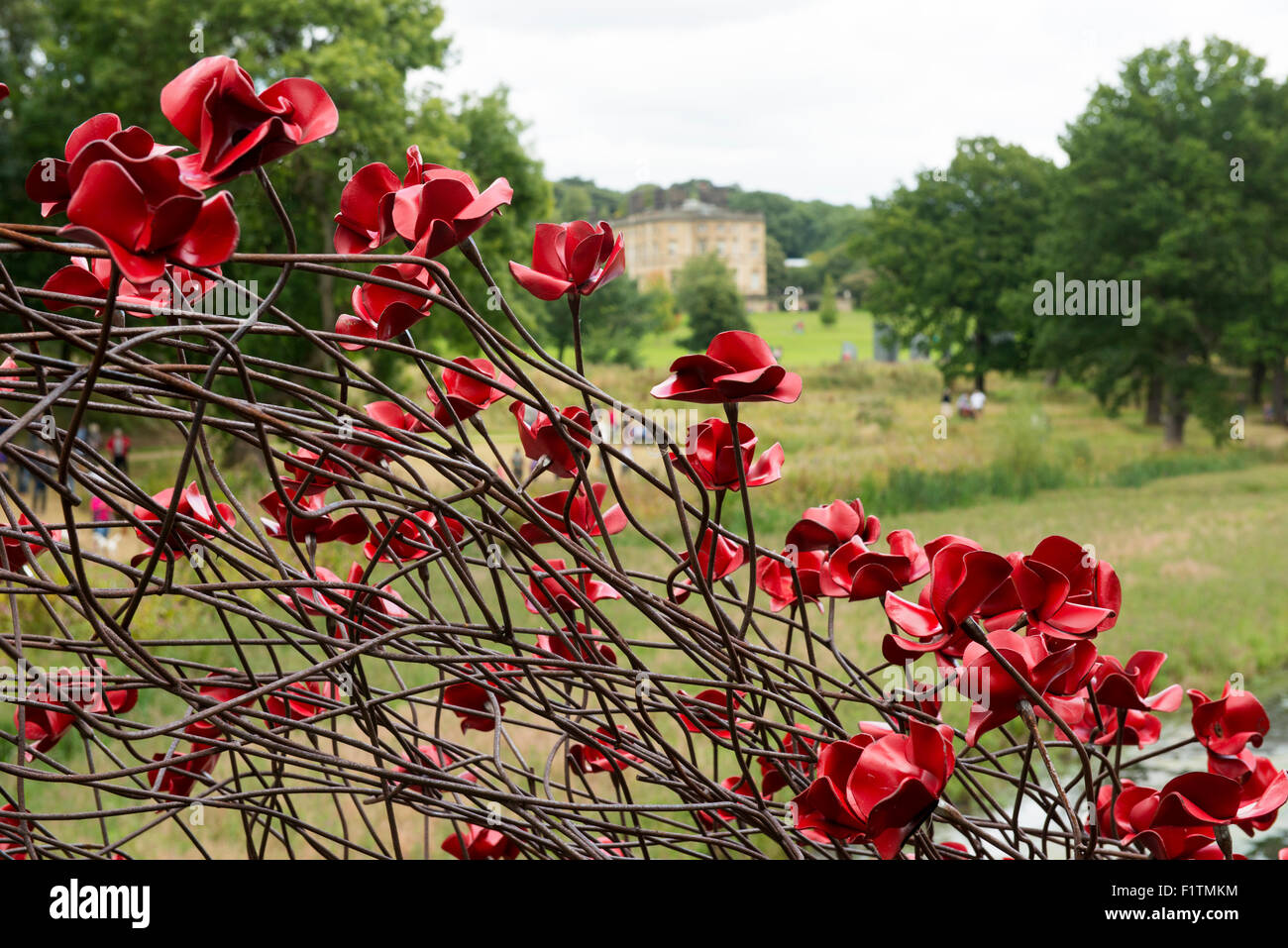 Papaveri in ceramica in mostra presso lo Yorkshire Sculpture Park in West Bretton, Wakefield West Yorkshire England Regno Unito Foto Stock