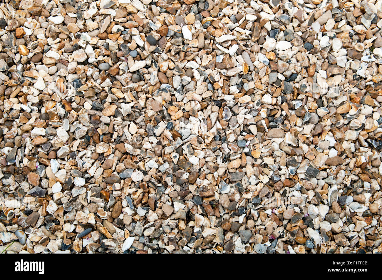 Texture di ghiaia close up Foto Stock