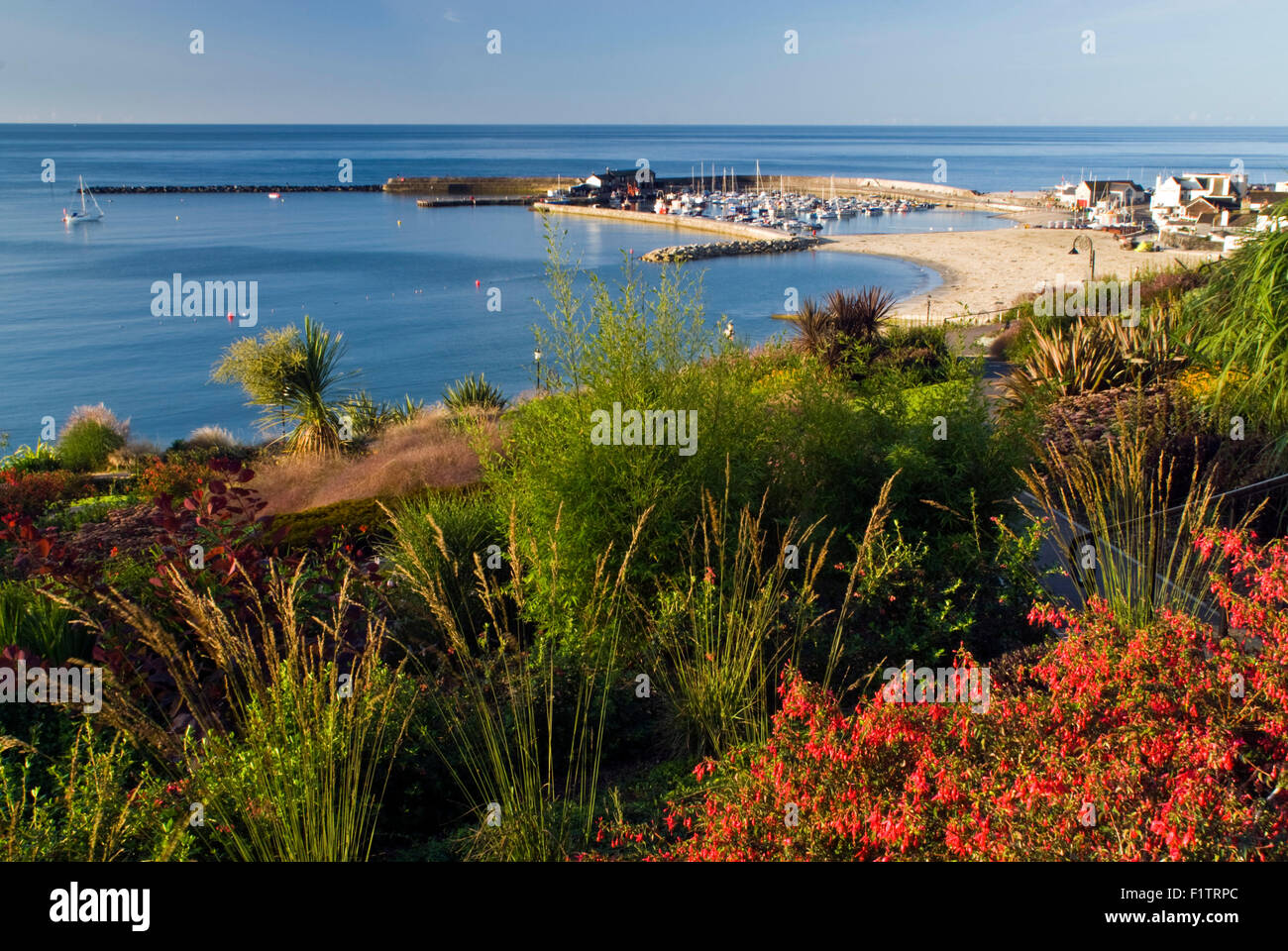 Vista di Cobb dal Langmoor giardini di Lyme Regis su Dorset la Jurassic Coast., England, Regno Unito Foto Stock