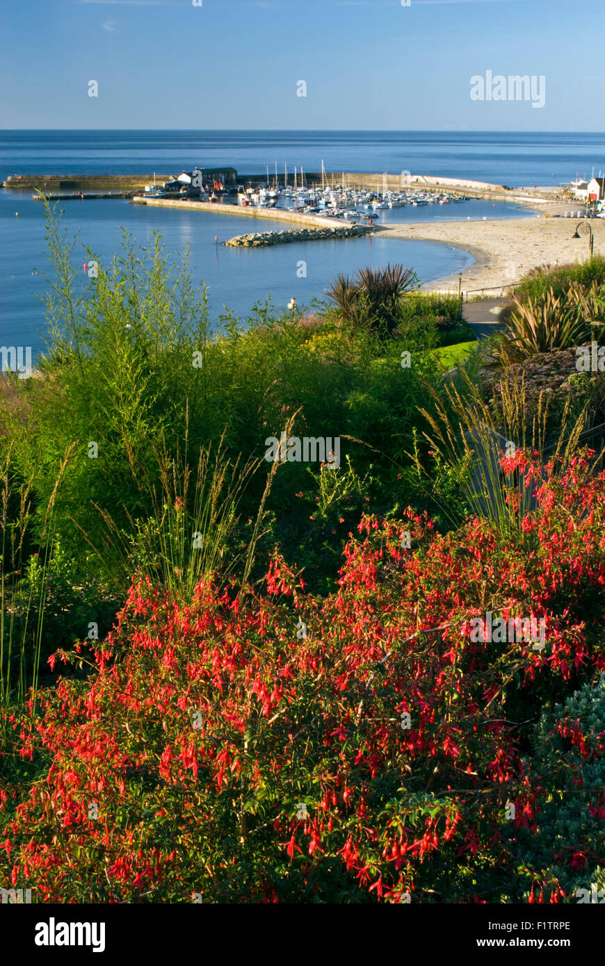 Vista di Cobb dal Langmoor giardini di Lyme Regis su Dorset la Jurassic Coast., England, Regno Unito Foto Stock