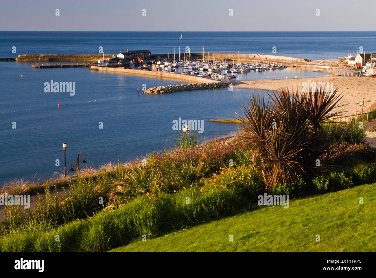 Vista di Cobb dal Langmoor giardini di Lyme Regis su Dorset la Jurassic Coast., England, Regno Unito Foto Stock