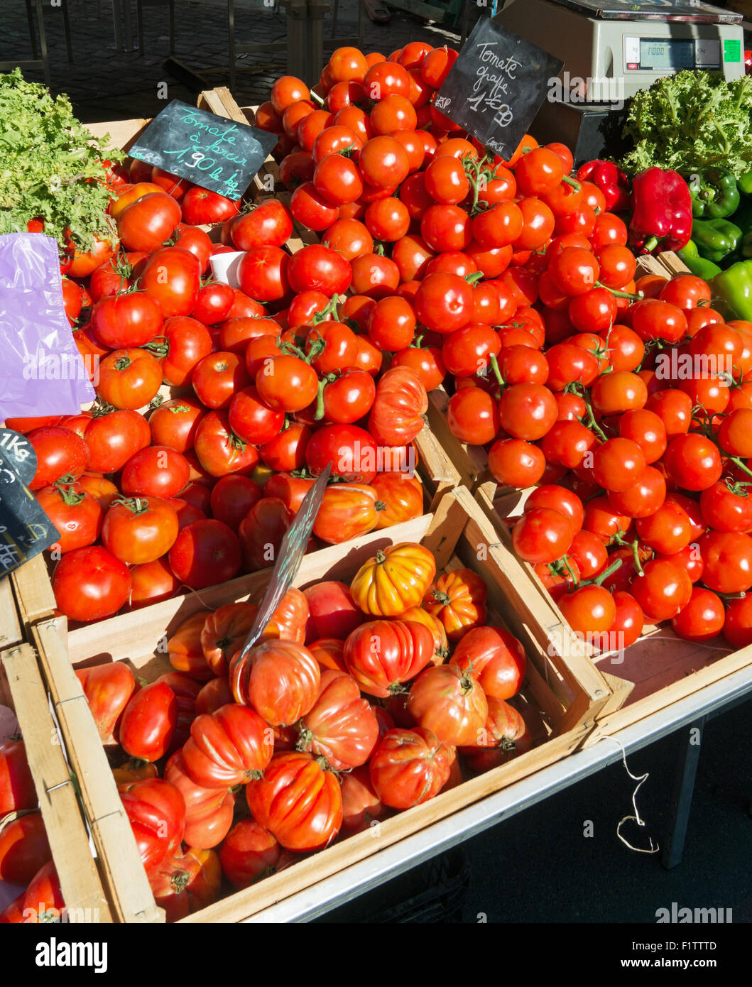 Pomodori in vendita a Pezenas mercato all'aperto, Hérault, Languedoc-Roussillon, Francia Foto Stock