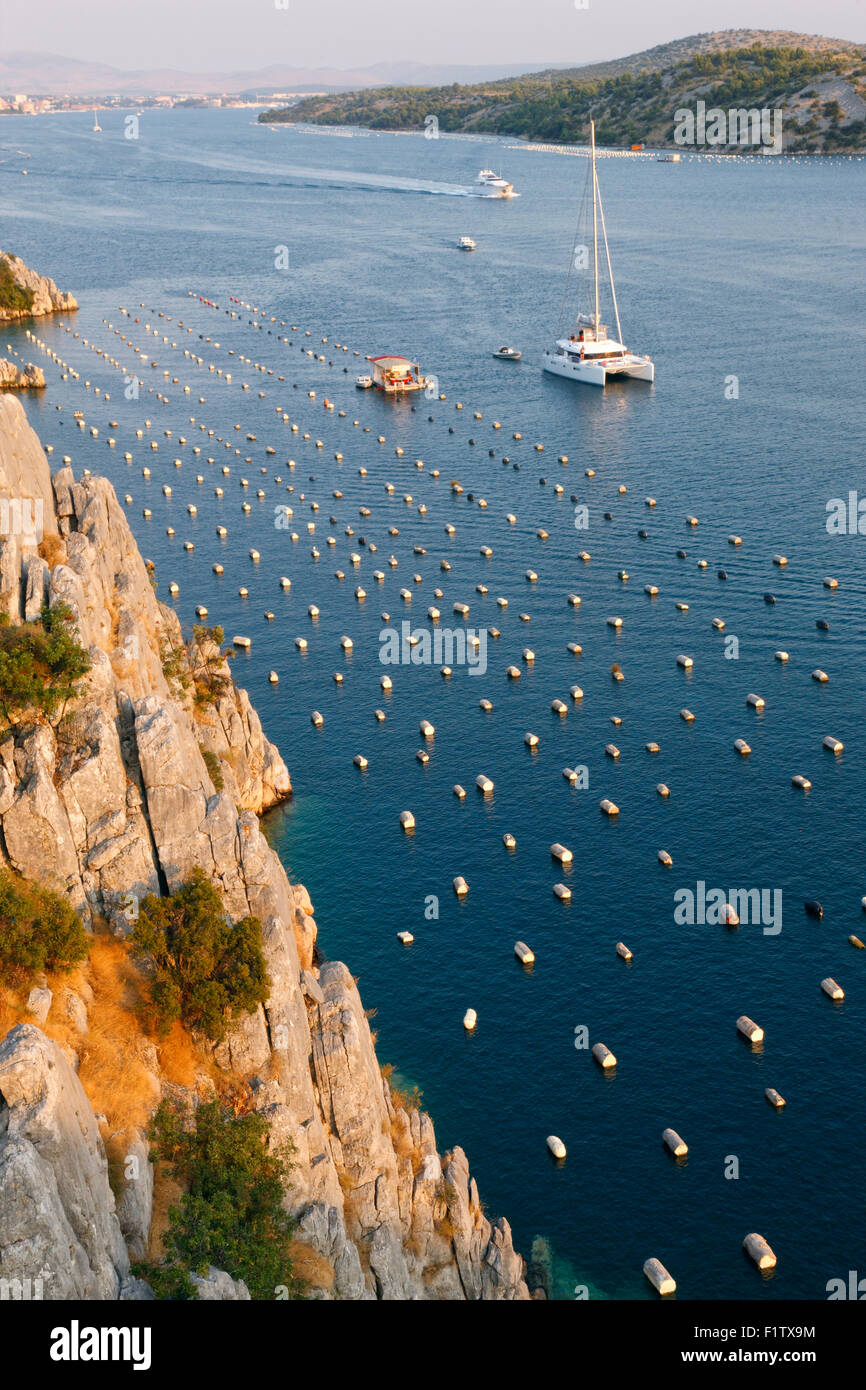 Allevamento di cozze vicino a Sibenik in Croazia Foto Stock