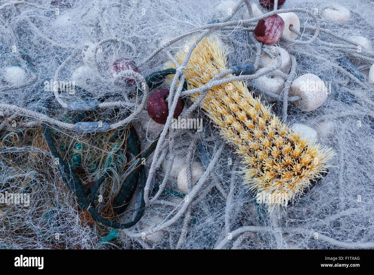 Rete da pesca close up con spazzola in esso. Foto Stock