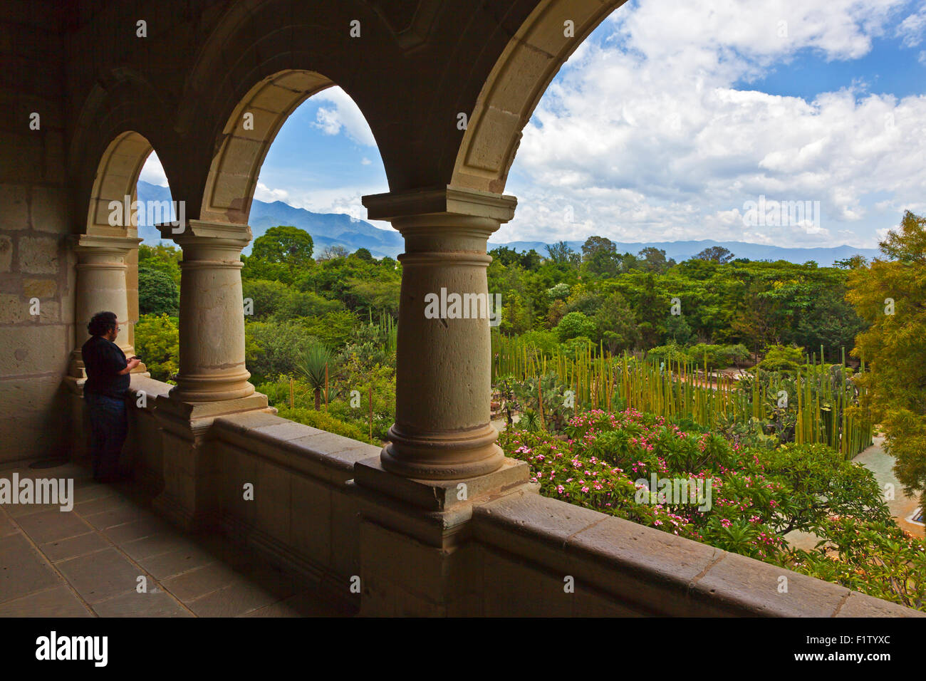 Vista del giardino botanico da un balcone di il museo culturale di Oaxaca o Museo de las Culturas de Oaxaca - Messico Foto Stock