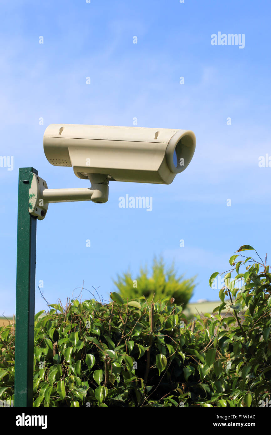 Telecamera per la realizzazione di video sorveglianza in giardino Foto Stock