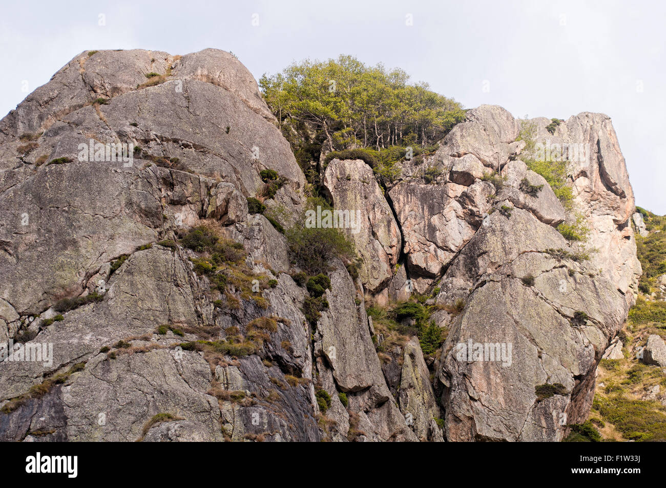 Pareti di roccia nei pressi di Giaggiolo du Carla, Parc Naturel Regional des Pyrenees Ariegeoises. Auzat Vicdessos Valley. Ariège. Francia Foto Stock