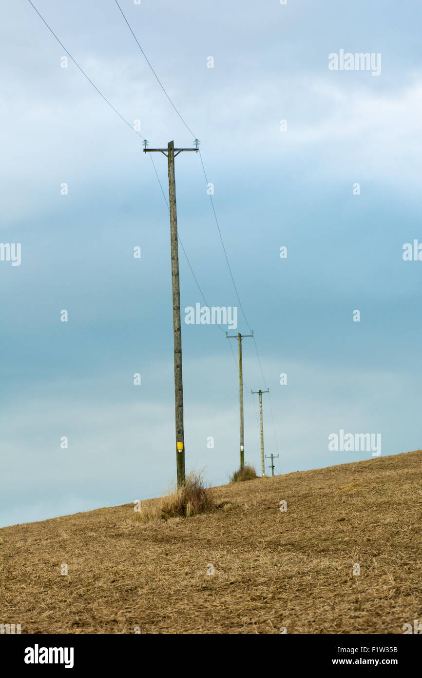 Linee elettriche e posti su un campo rurale Foto Stock