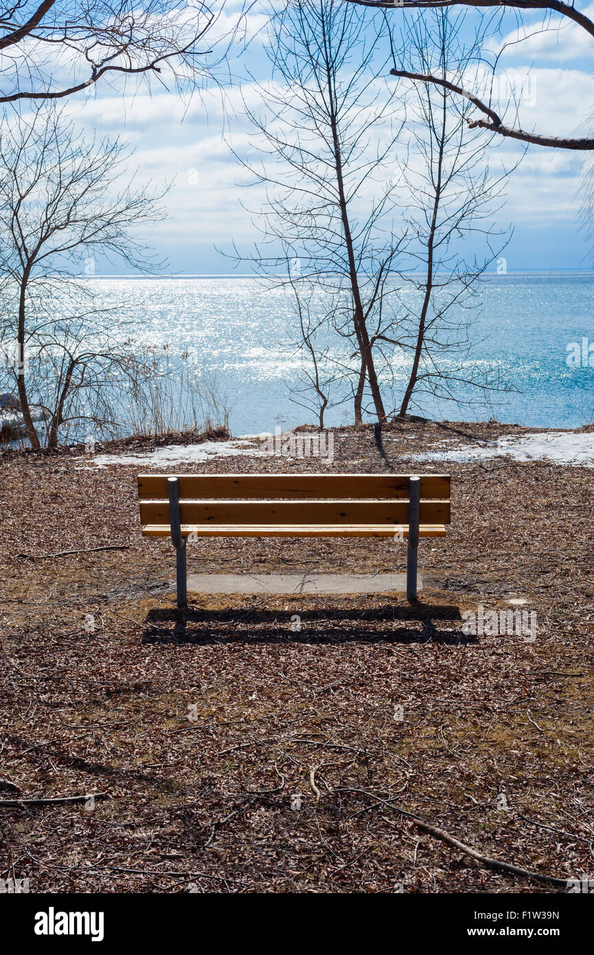 Semplice marrone vuoto panca di legno che si affaccia sul lago, circondato da alberi di nudo e rami, con poco nuvoloso cielo blu in background Foto Stock