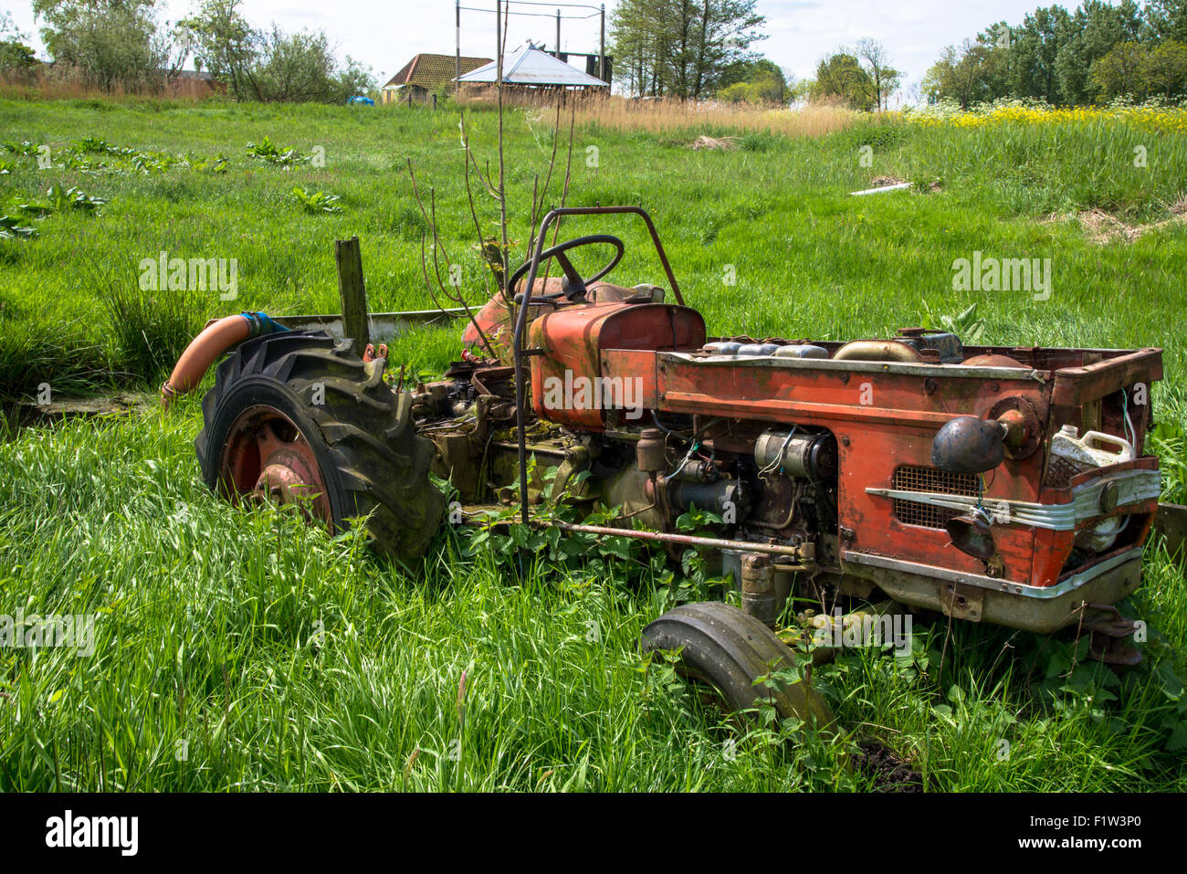 Vecchio rosso e trattore arrugginito in prato in Olanda Foto Stock