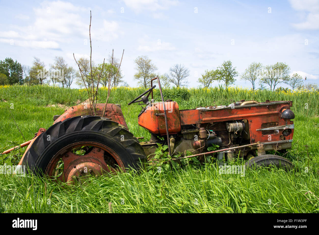 Vecchio rosso e trattore arrugginito in prato in Olanda Foto Stock