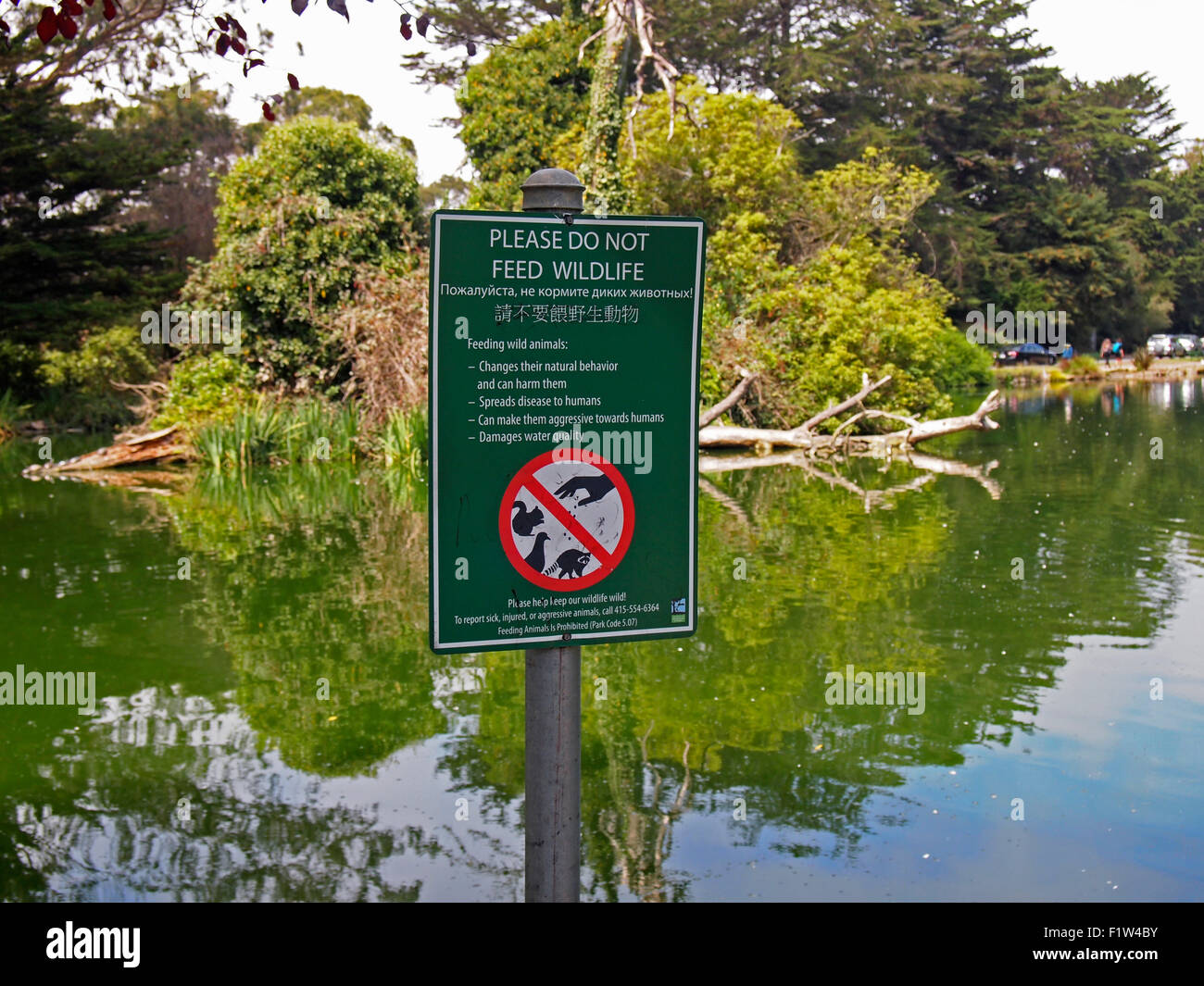 Vi prego di non alimentare il segno della fauna selvatica, San Francisco, California USA Foto Stock