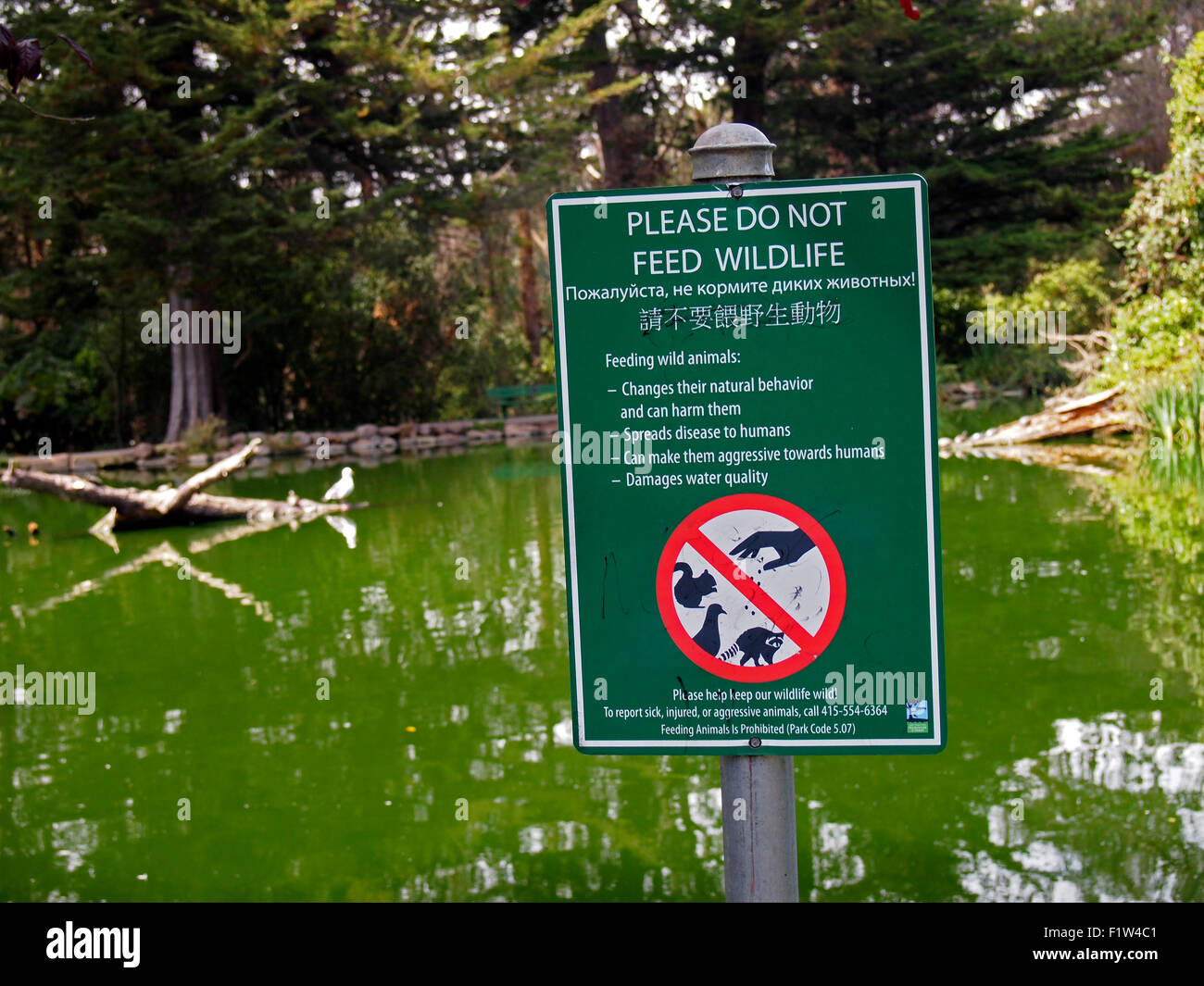 Vi prego di non alimentare il segno della fauna selvatica, San Francisco, California USA Foto Stock