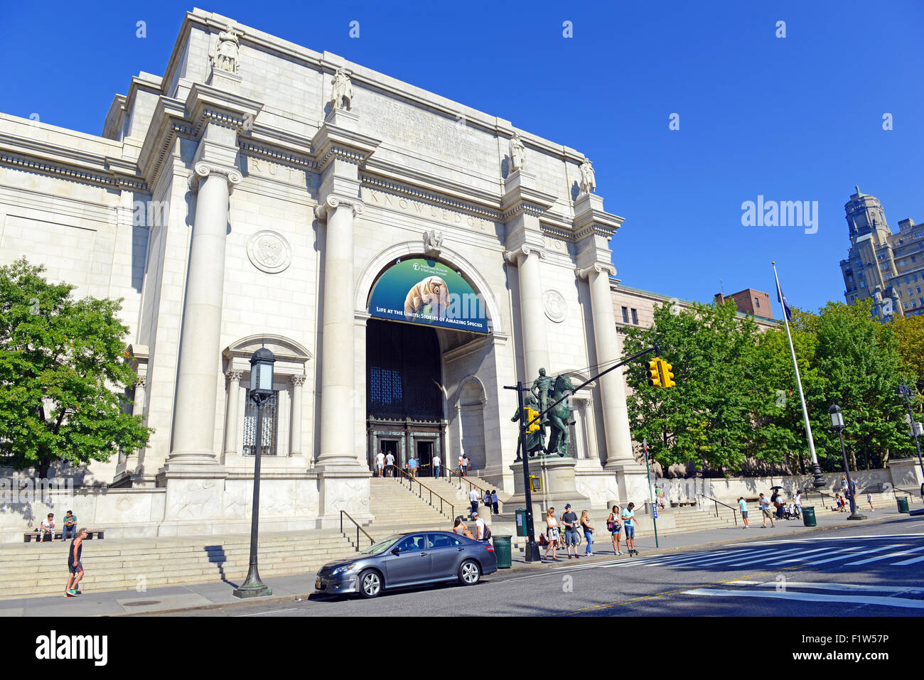 museo di storia naturale a new york