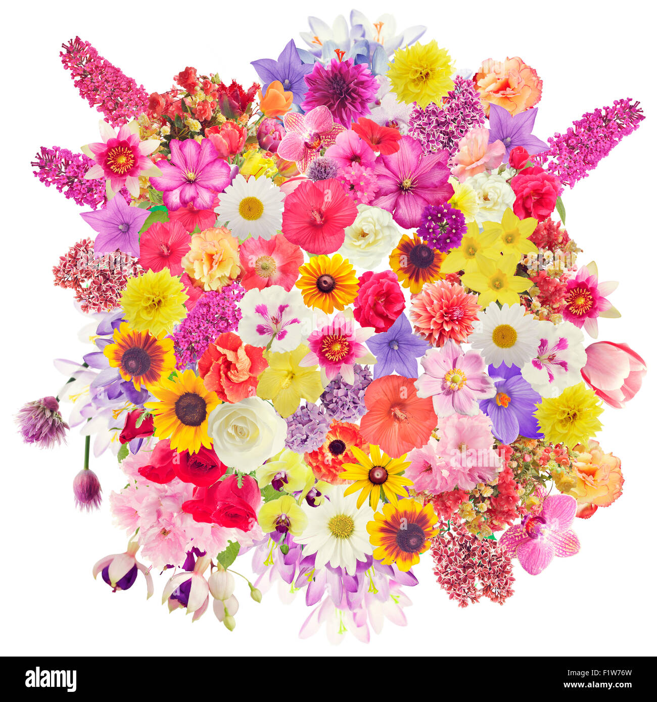 Fiore di molti fiori per lo sfondo Foto stock - Alamy