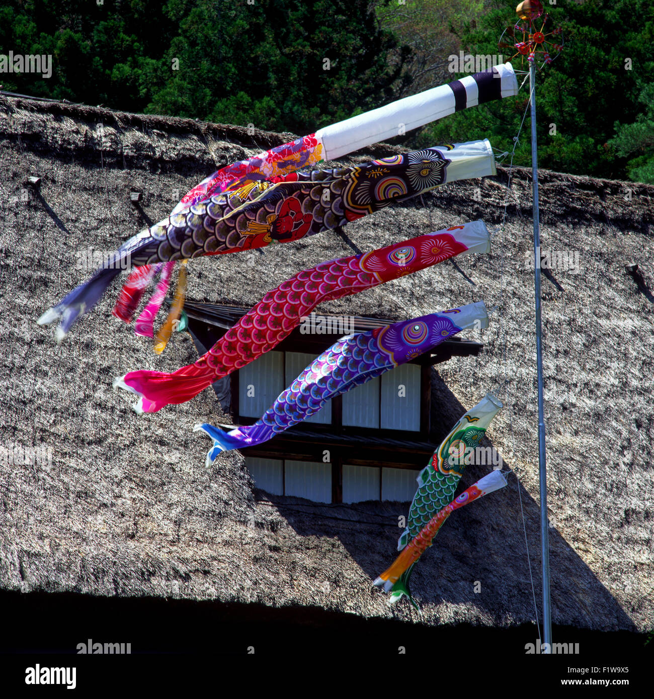 Koinobori giornata per i bambini Foto Stock