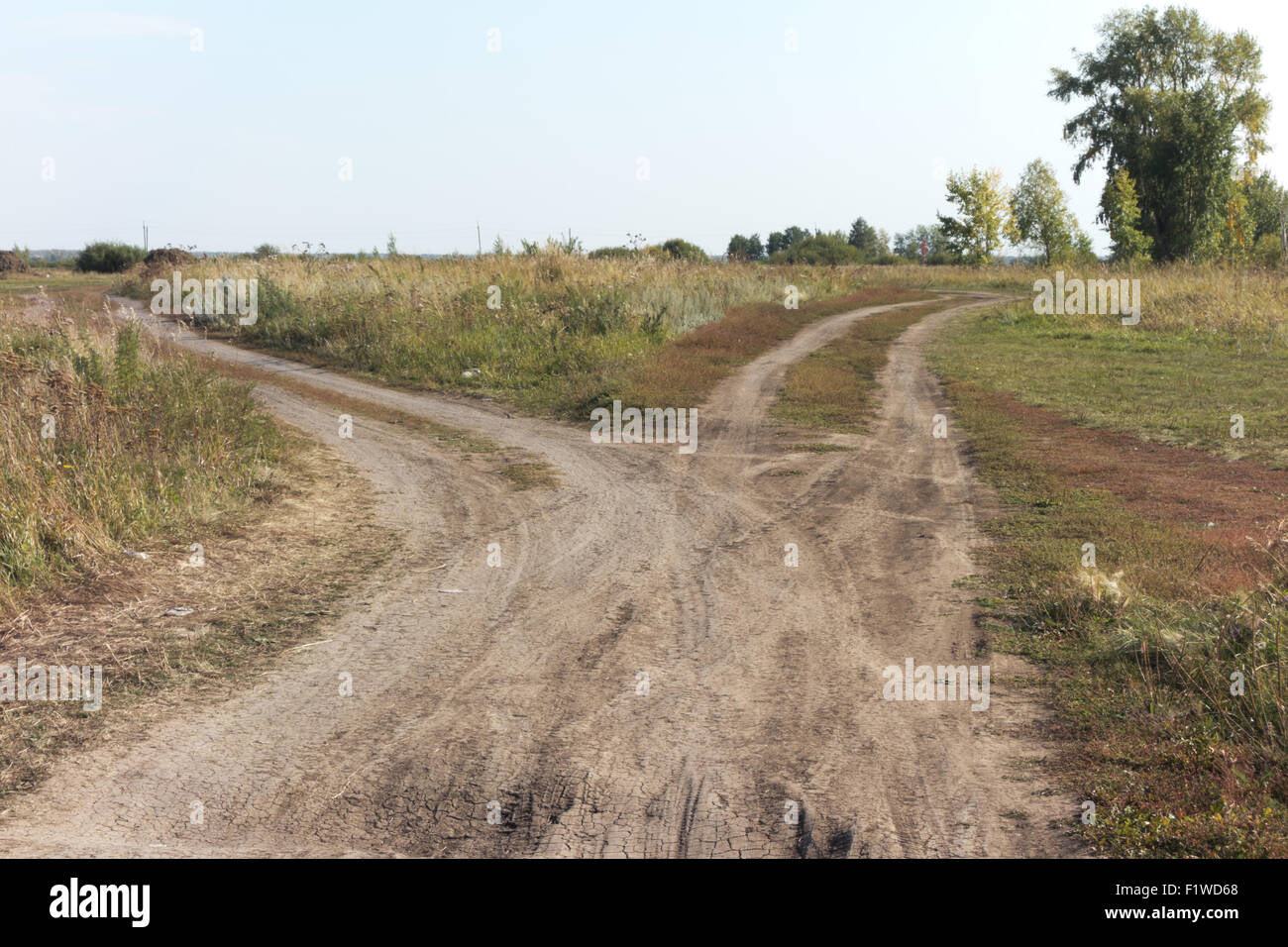 Attraversate la strada nel campo Foto Stock