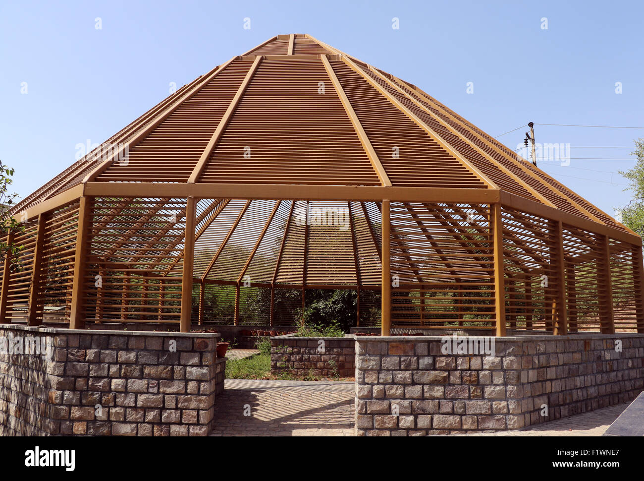 Scuola materna della pianta Foto Stock