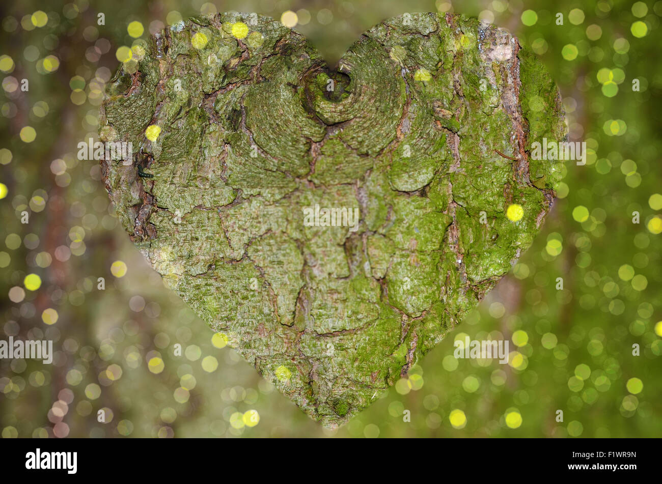 Corteccia di albero closeup con forma di cuore e frizzante bokeh di fondo Foto Stock