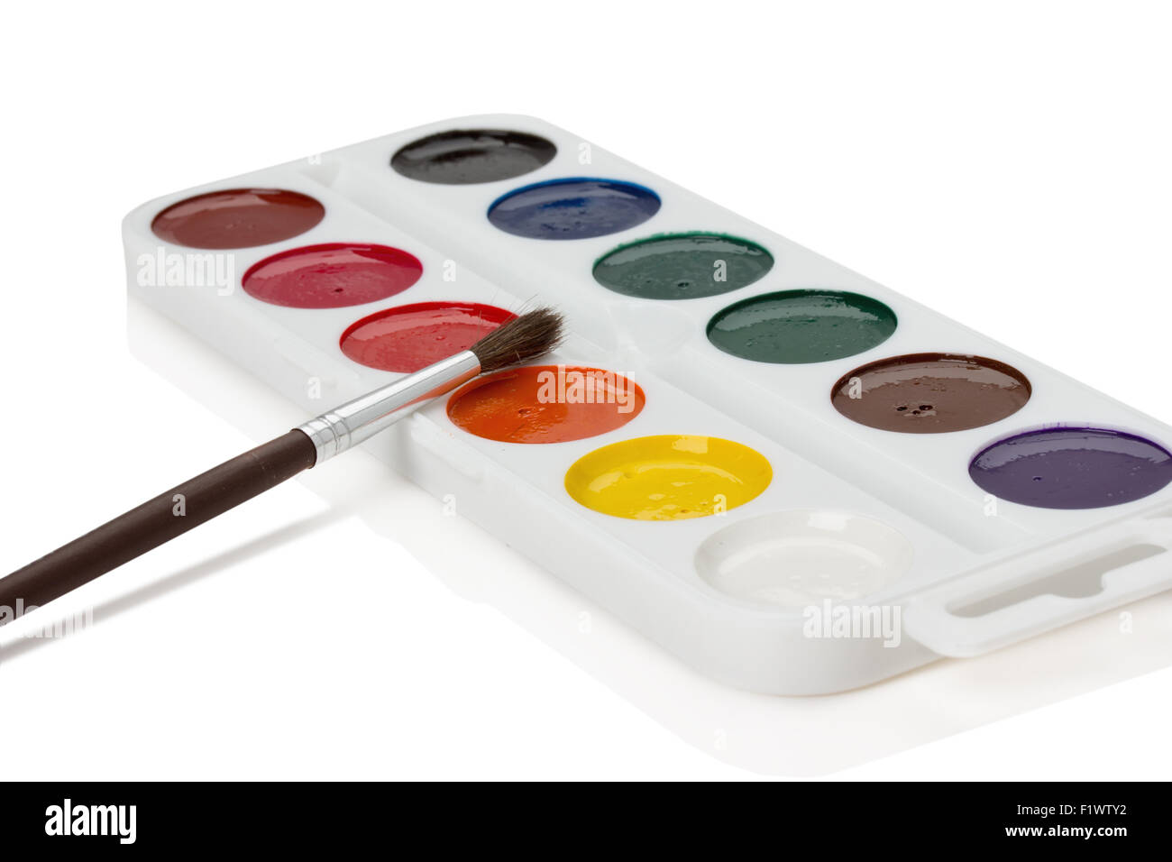 Acquerello con pennello su uno sfondo bianco. Foto Stock