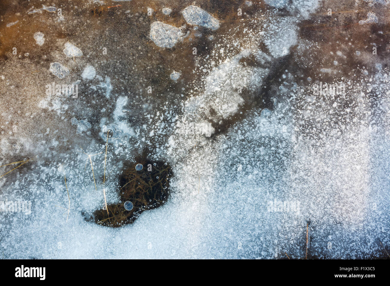 Formazioni di ghiaccio con bolle di aria congelate in ghiaccio e la vegetazione qui di seguito. Vatnajokull National Park. L'Islanda. Foto Stock