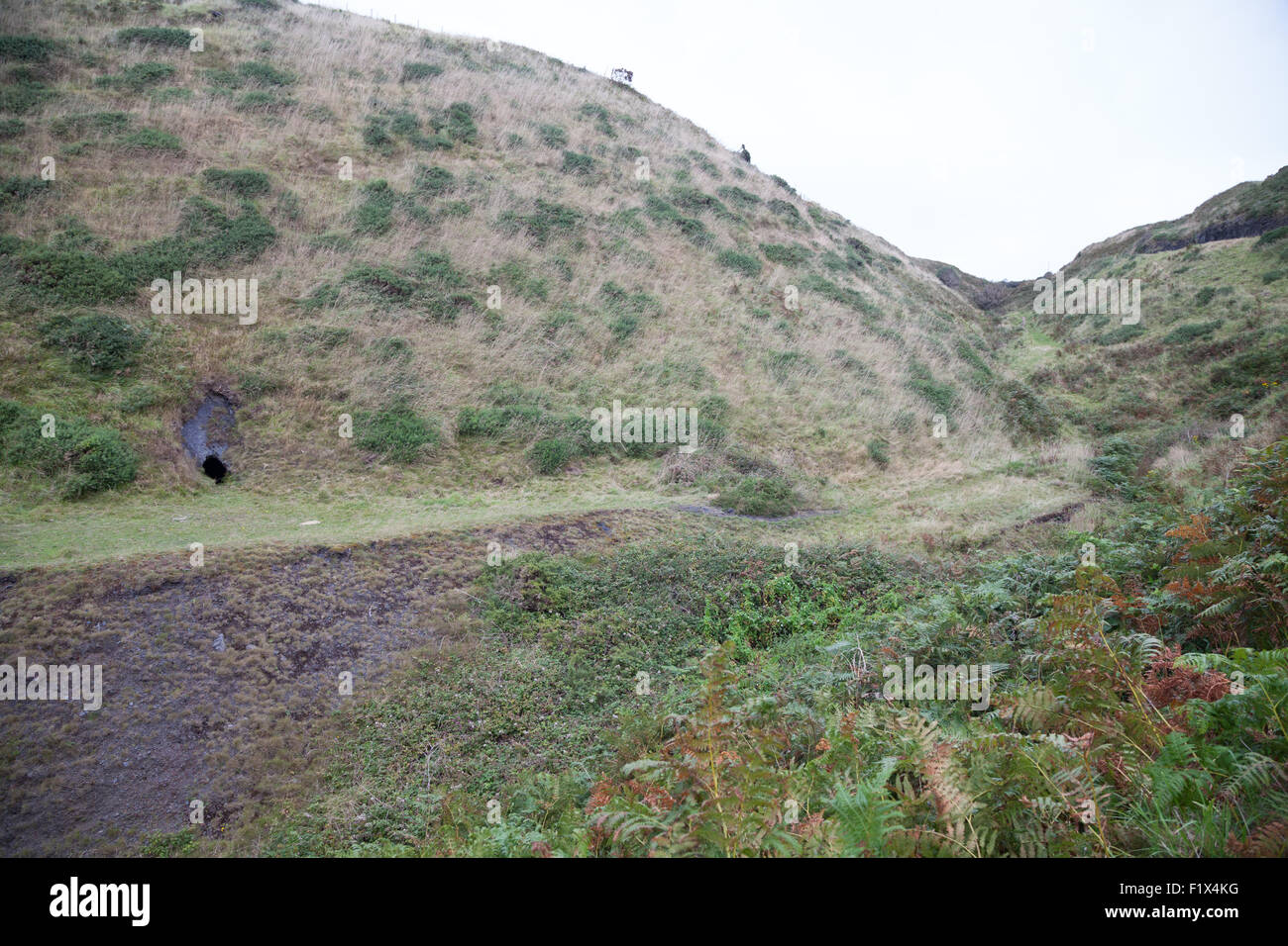 Il sentiero che conduce a Porth Ysgo, Llanfaelrhys, Aberdaron, Llyn Peninsula mostra grotta / ex miniera di manganese funziona Foto Stock