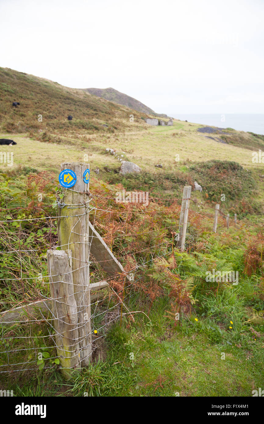 Il Galles sentiero costiero waymarker / il sentiero che conduce a Porth Ysgo, Llanfaelrhys, Aberdaron, Llyn Peninsula, Galles Foto Stock