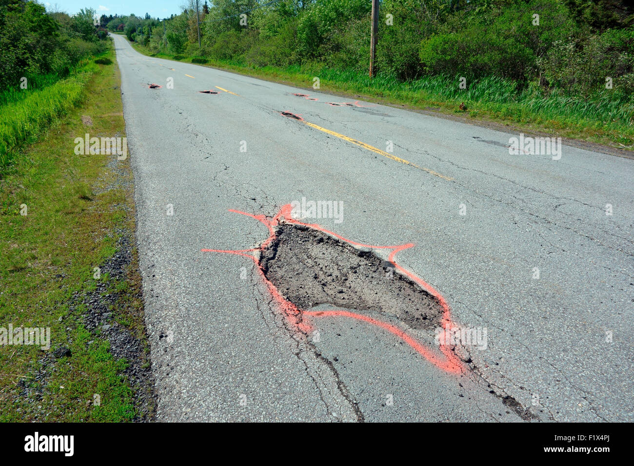 Buche in una strada asfaltata o autostrada Foto Stock
