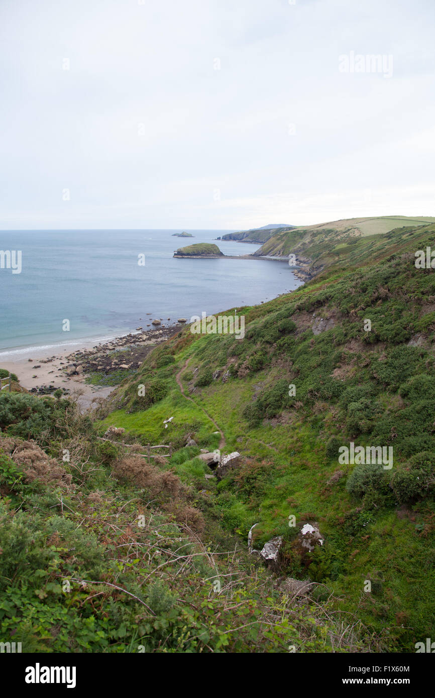 Il sentiero e il flusso che conducono in basso verso Porth Ysgo, Llanfaelrhys, Aberdaron, Llyn Peninsula, il Galles in un giorno di estate Foto Stock