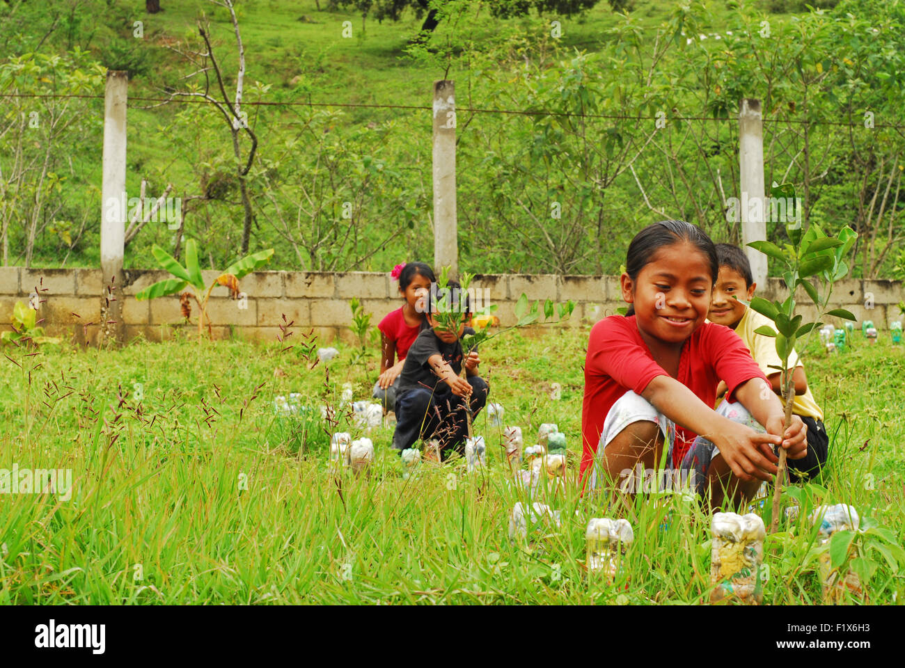 Guatemala, Salama, i bambini a scuola che partecipano a un progetto di rimboschimento (Saida Teresa Lopez Lopez 10 con blusa roja al frente, Santos Rafael Lucas Fernandez 9 con playera amarilla, Marlon Joel Urizar Lucas 10 con sueter azul, Cristobal Ignacio Guzman Andres 9 con playera negra, Enma Maritza Cotzalo Enriquez 10 con playera y flor roja) Foto Stock