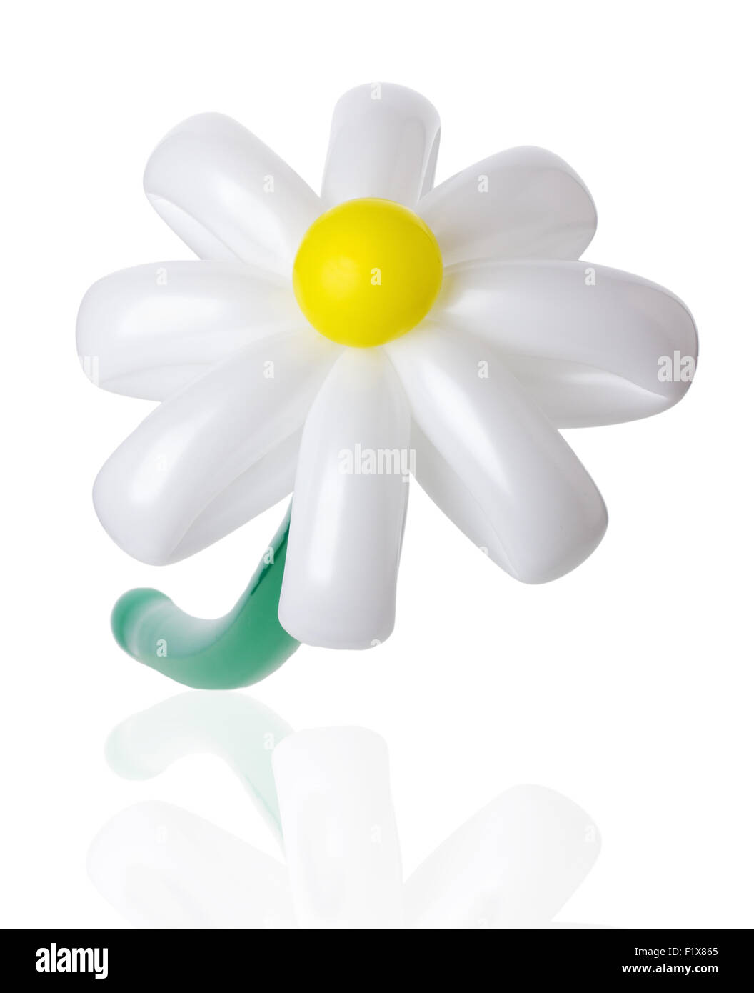 Palloncino daisy sullo sfondo bianco. Foto Stock