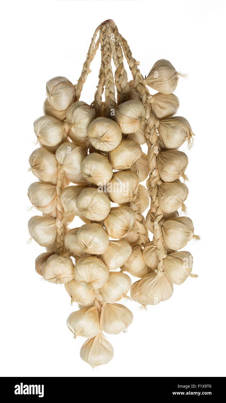 Mazzetto di aglio su uno sfondo bianco. Foto Stock