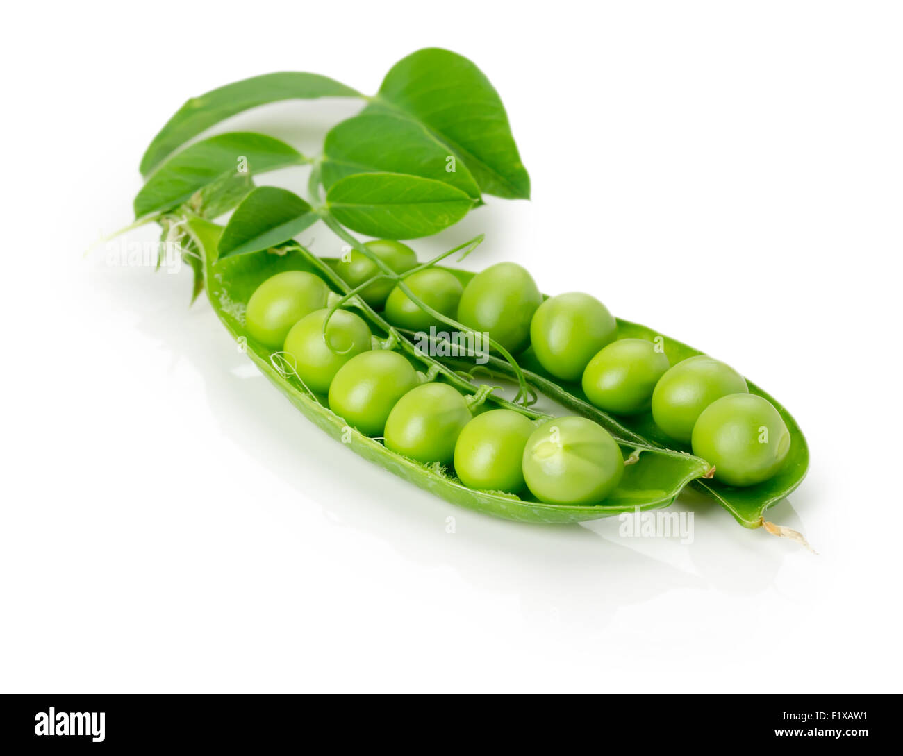 Freschi di piselli verdi su sfondo bianco. Foto Stock