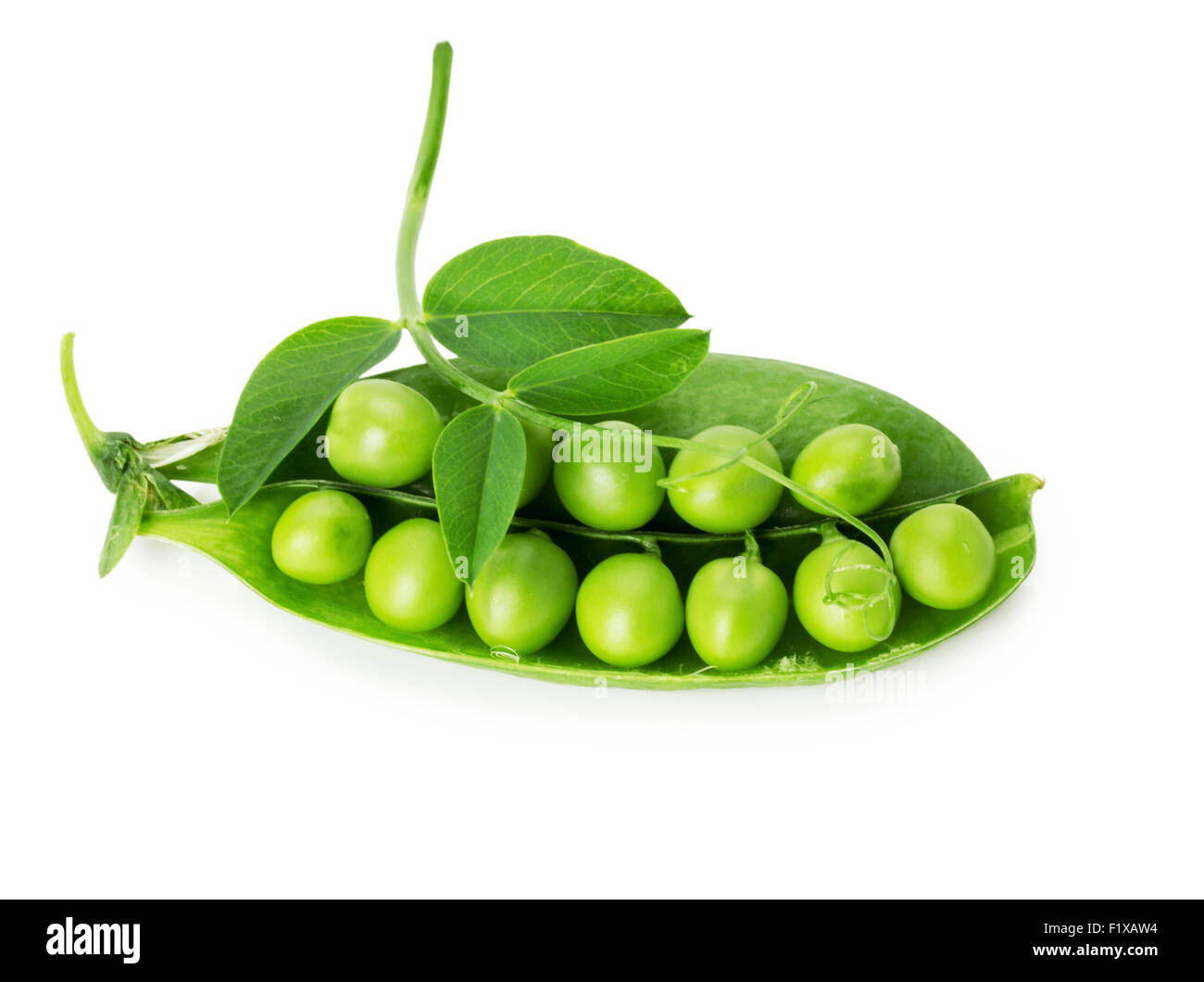 Freschi di piselli verdi su sfondo bianco. Foto Stock