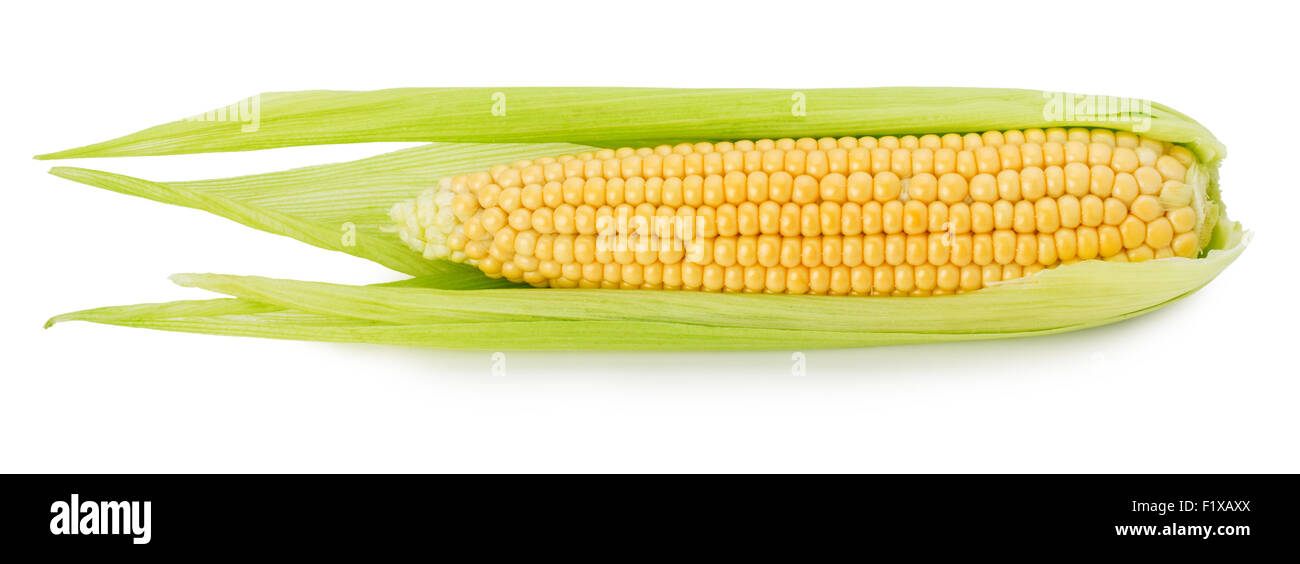Mais dolce orecchio isolato su uno sfondo bianco. Foto Stock