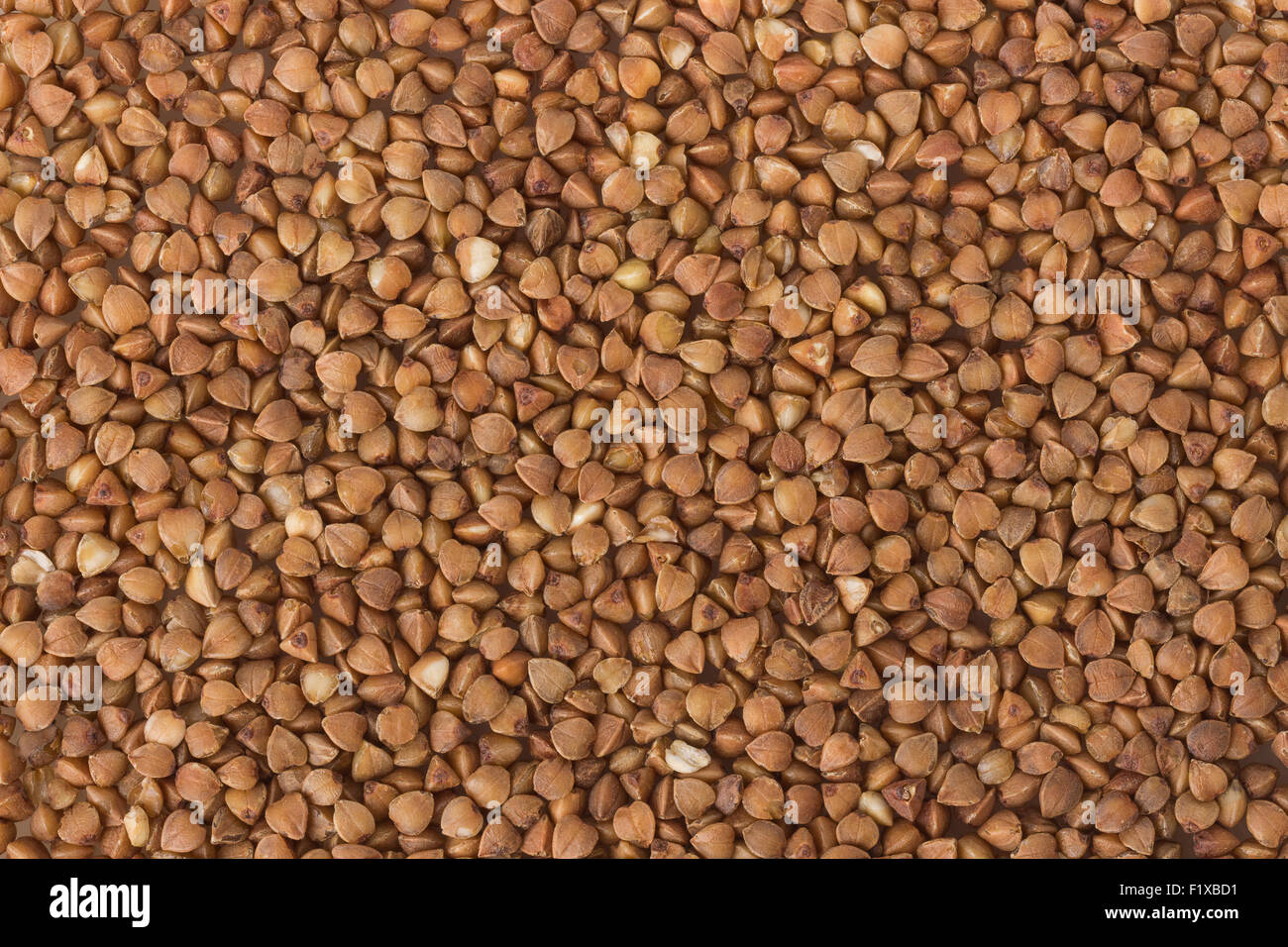 Cosparsa di farina di grano saraceno. Foto Stock