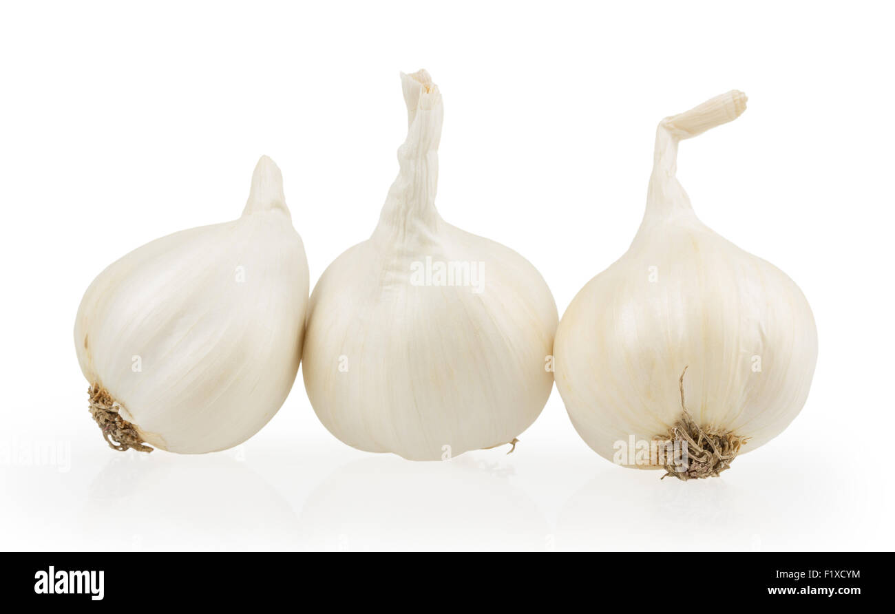 Aglio isolato su bianco. Foto Stock