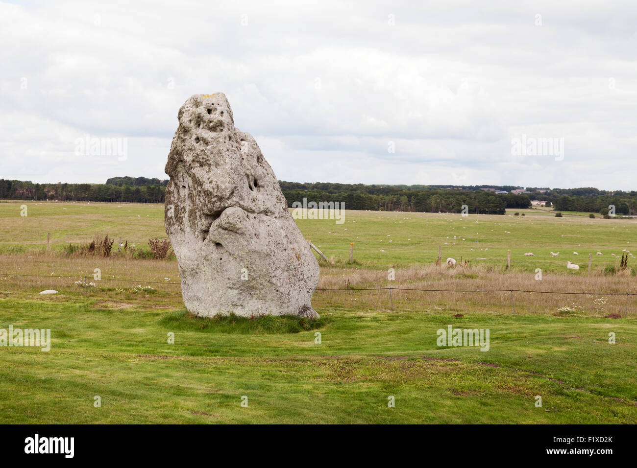 La Heel Stone, Stonehenge, sito Patrimonio Mondiale dell'UNESCO, Wiltshire, Inghilterra REGNO UNITO Foto Stock