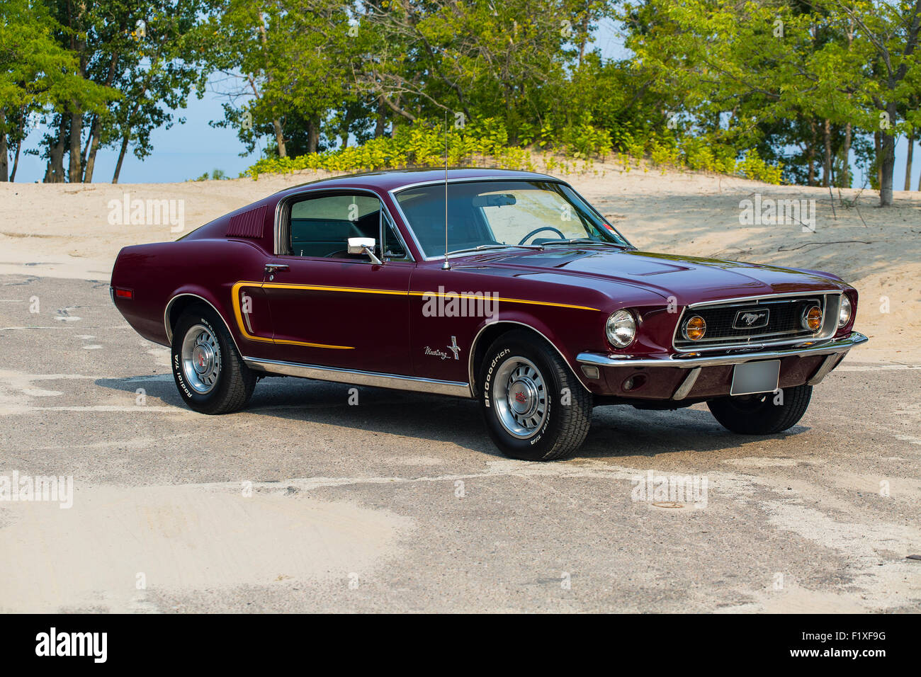 1968 Ford Mustang GT Foto Stock