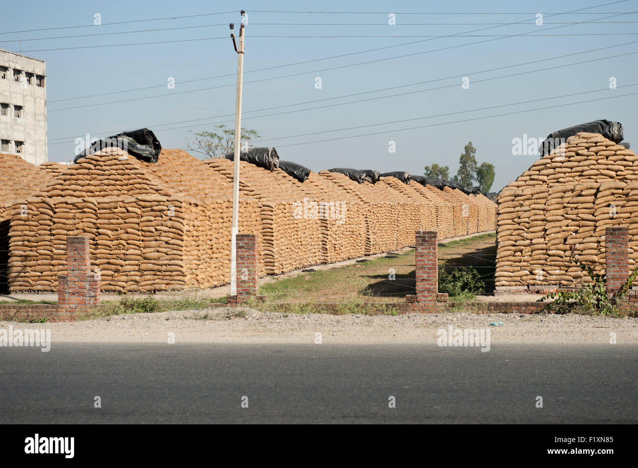Amritsar Punjab, India. Negozi di granella dalla strada. Foto Stock