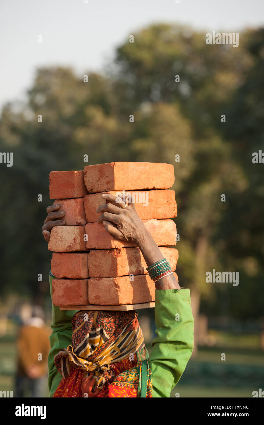 Delhi, India. Donna operaio di trasportare 10 dieci mattoni sul suo capo. Foto Stock