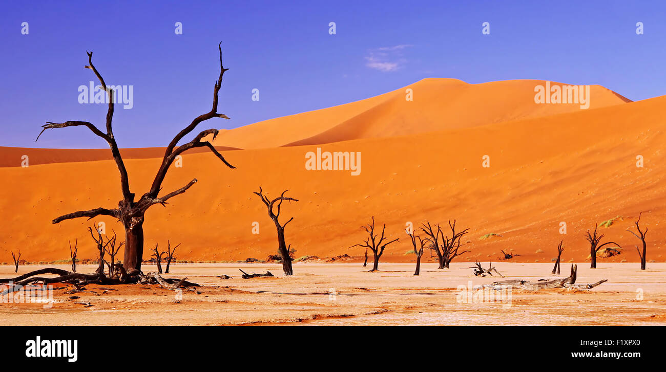 Dead Vlei, Namib-Desert, Namibia Foto Stock