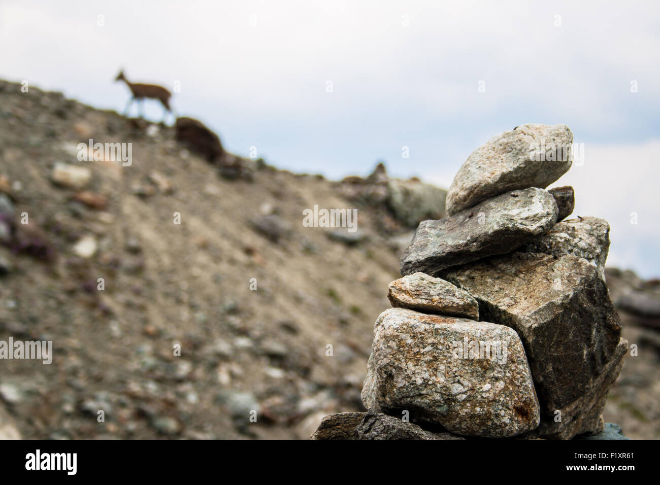 Uomo di pietra in un percorso di montagna con un panno di camoscio in background Foto Stock