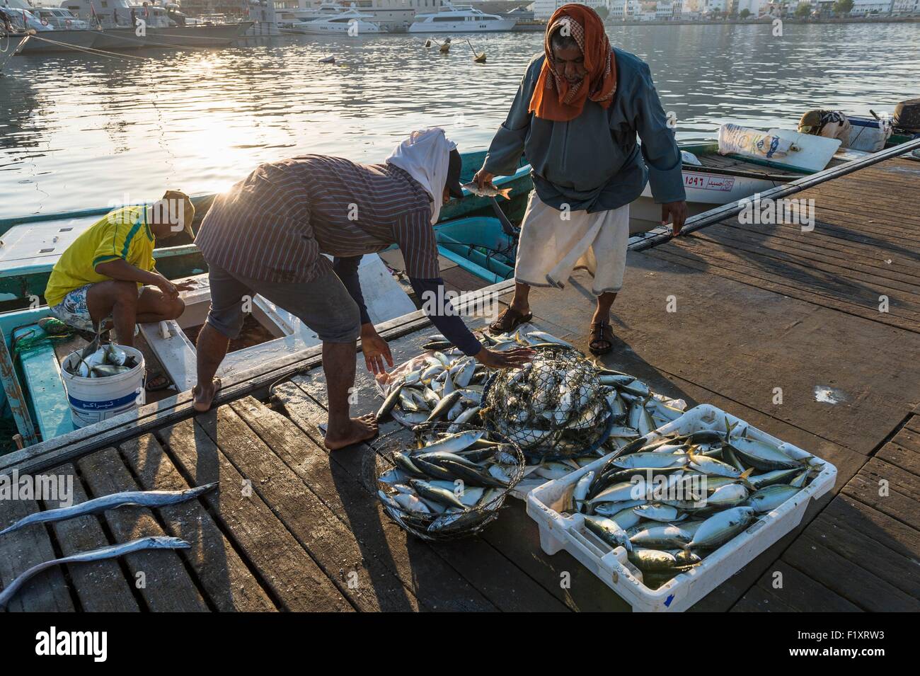 Il sultanato di Oman, gouvernorate di Mascate, Muscat (o) Mascate, Mutrah (o) Matrah porto, il mercato del pesce Foto Stock